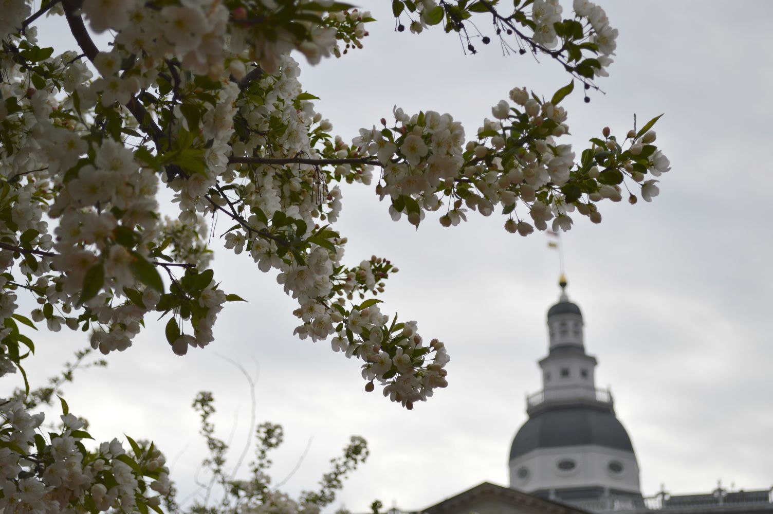 Monday in Annapolis